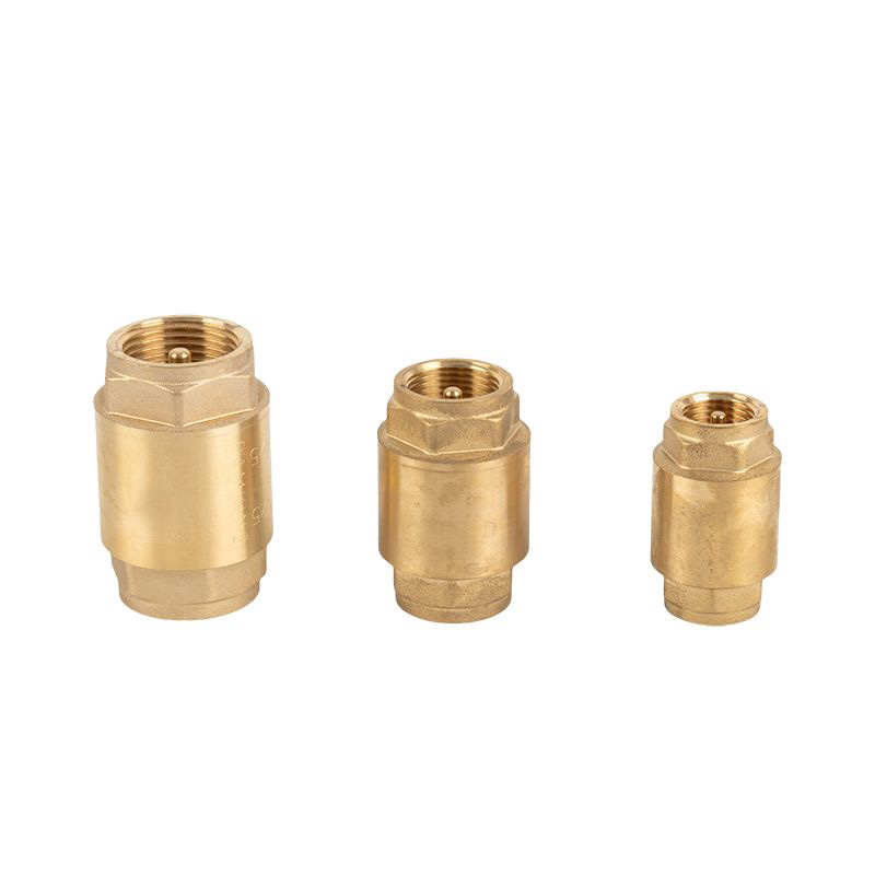 How Does a Brass Check Valve Work?