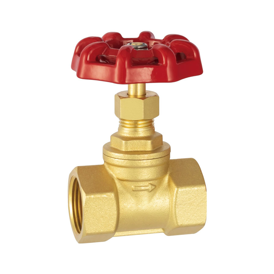 Brass check stop valve (large flow with spring)