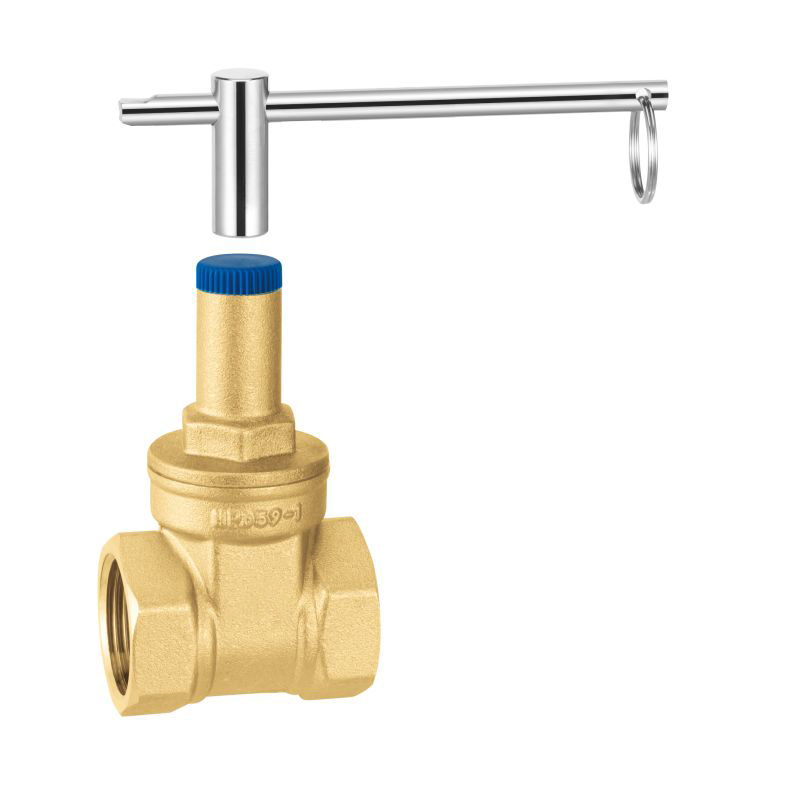 Forged body Brass lockable check gate valve Forged body Brass lockable check gate valve